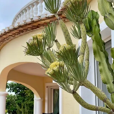 Duke - Plusholidays Villa